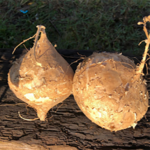 Screen Shot 2023-03-13 at 6.04.16 PM