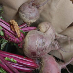 betabel_morado_normal