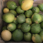 limon