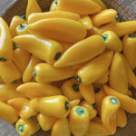 pimiento_amarillo_baby